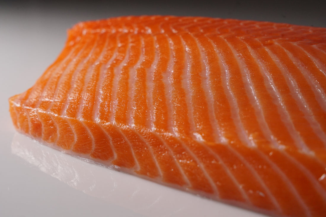 King salmon fillet, Ahi Club