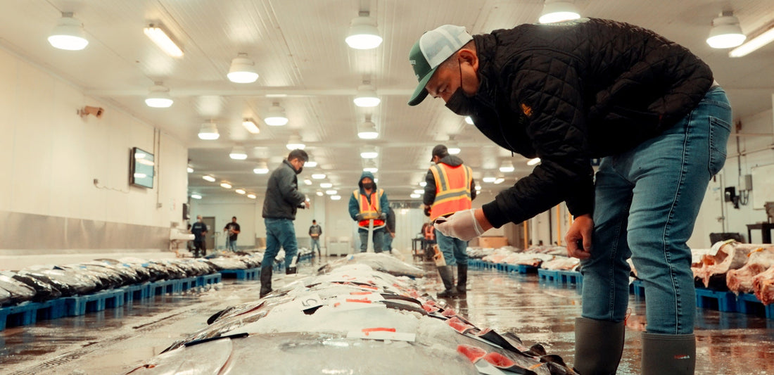 An Ahi Club buyer on the Honolulu fresh tuna auction floor
