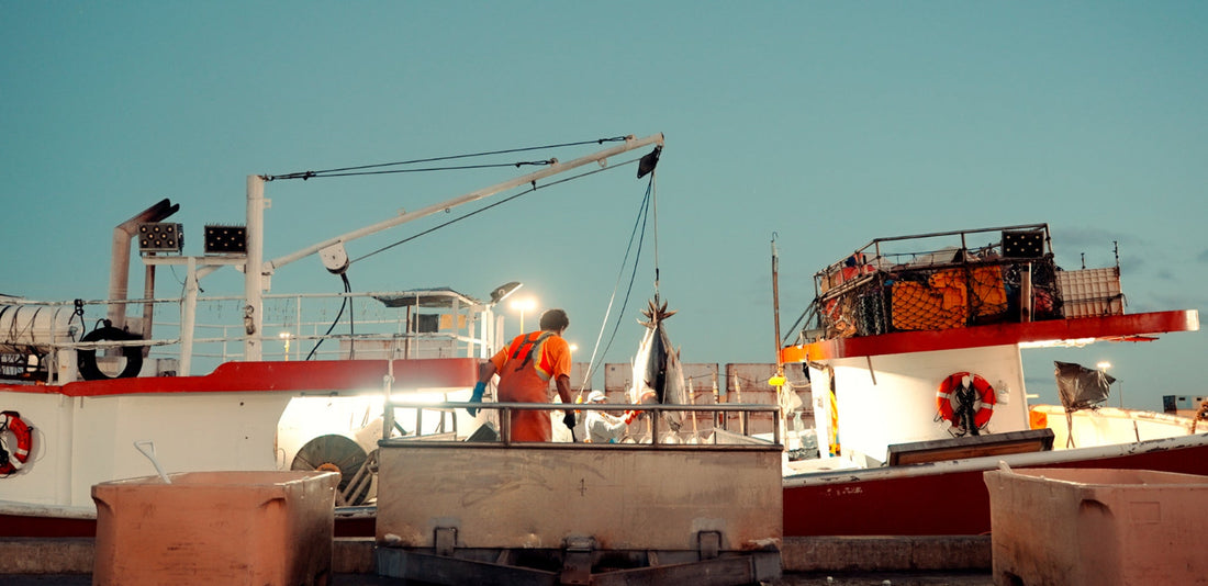 Fishing vessels at the Honolulu harbor before dawn