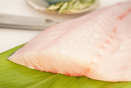 Hapuka sea bass sashimi cut, The Ahi Club