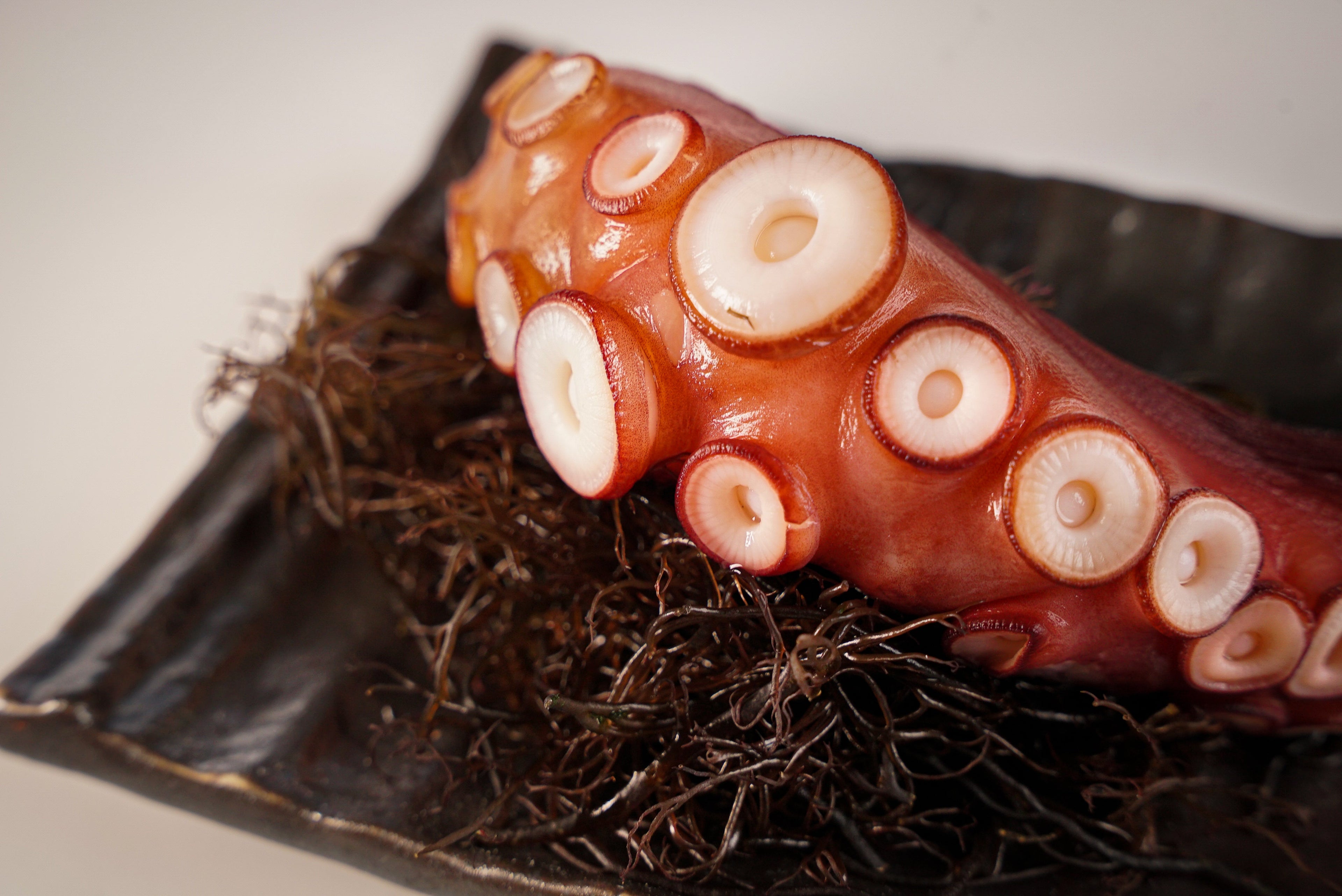 Japan steamed madako octopus, The Ahi Club