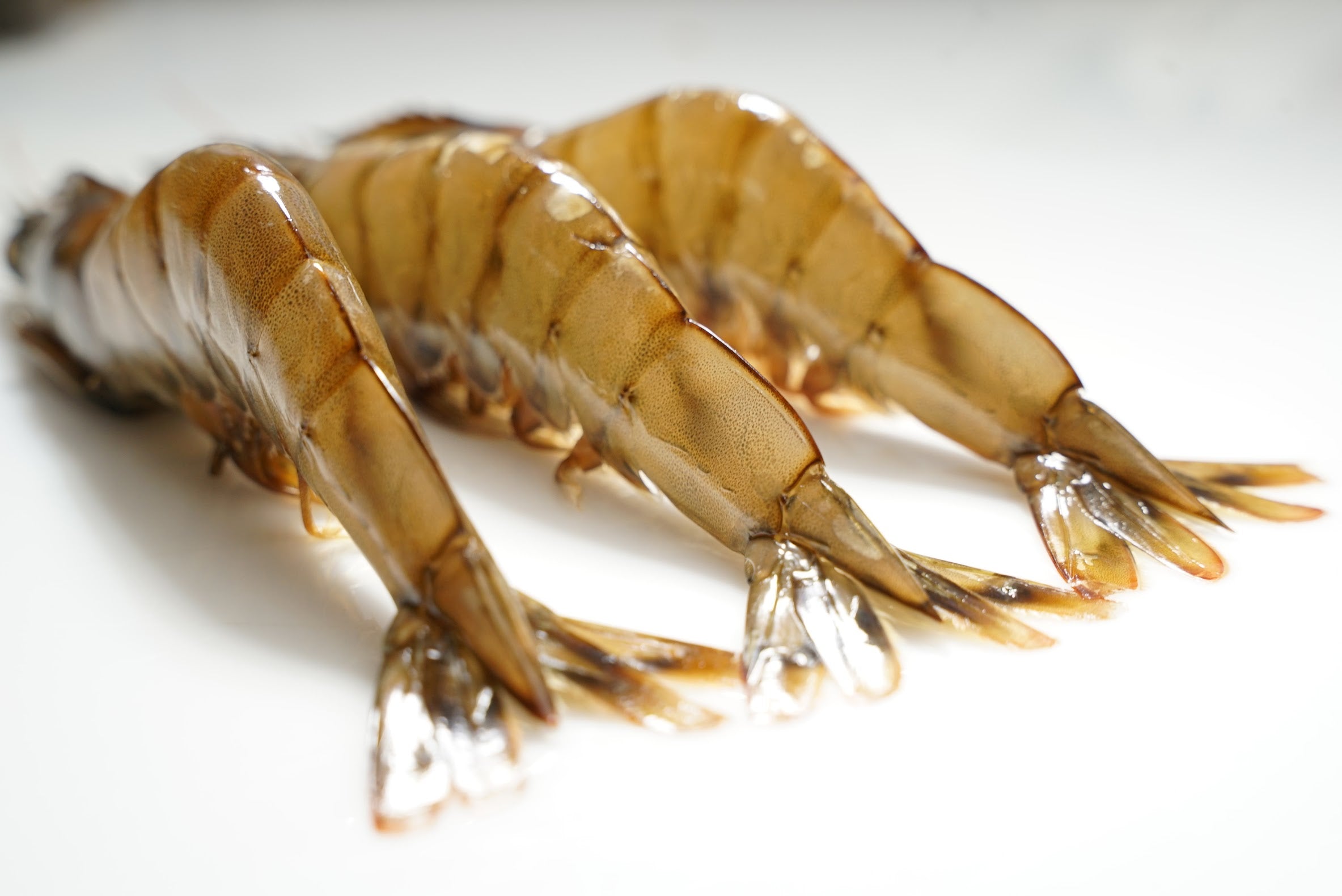 Kauai saltwater sweet prawns, The Ahi Club