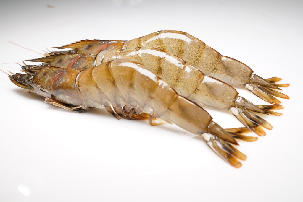 Kauai saltwater sweet prawns, The Ahi Club