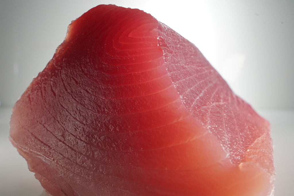Hawaiian tombo albacore ahi, Ahi Club