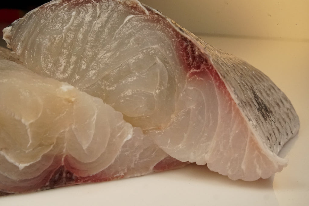 Hawaiian kaku barracuda fillet, The Ahi Club