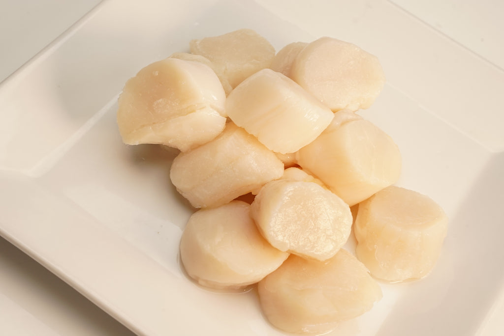 Premium Scallops U-10