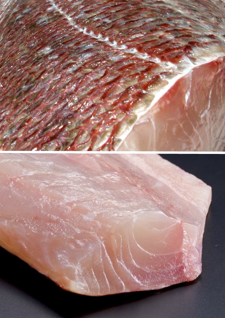 Hawaiian opakapaka snapper, The Ahi Club