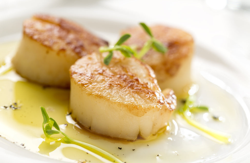 Sashimi grade U-10 sea scallops, Ahi Club