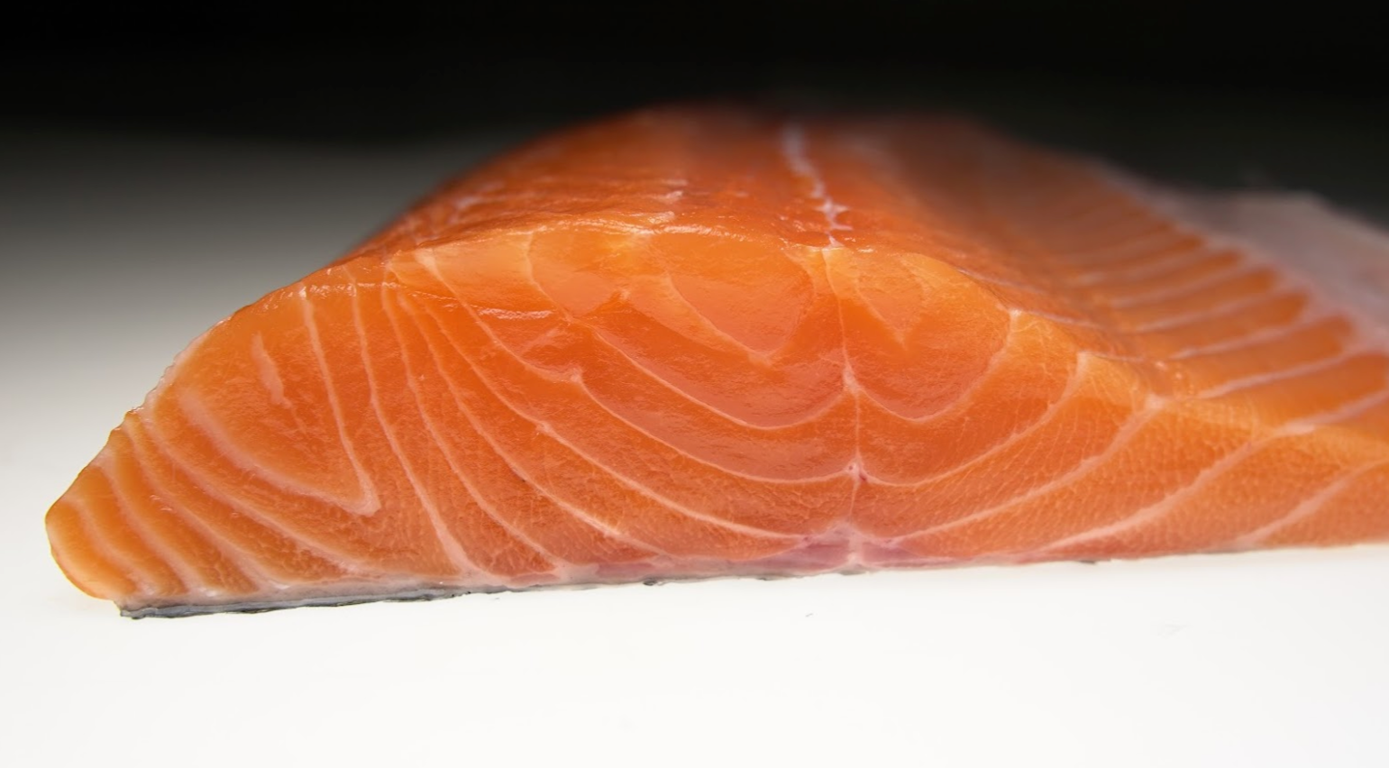 Loch Etive steelhead trout fillet, The Ahi Club