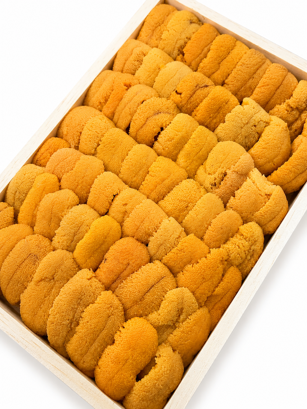 Hokkaido Bafun Uni
