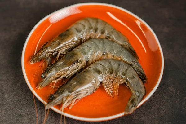 Kauai Sweet Prawn U6 Reserve